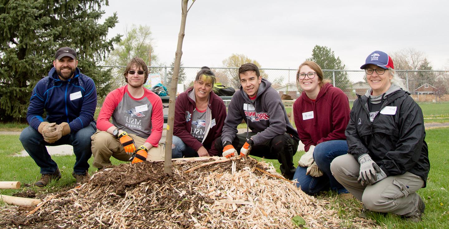 A group of Roadrunners planting a tree.