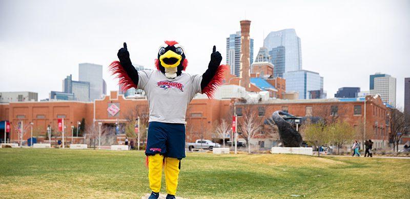 Spring 2019 OPEN HOUSE: Rowdy the Roadrunner standing on rock outside Tivoli Student Union with the Denver skyline in the background.