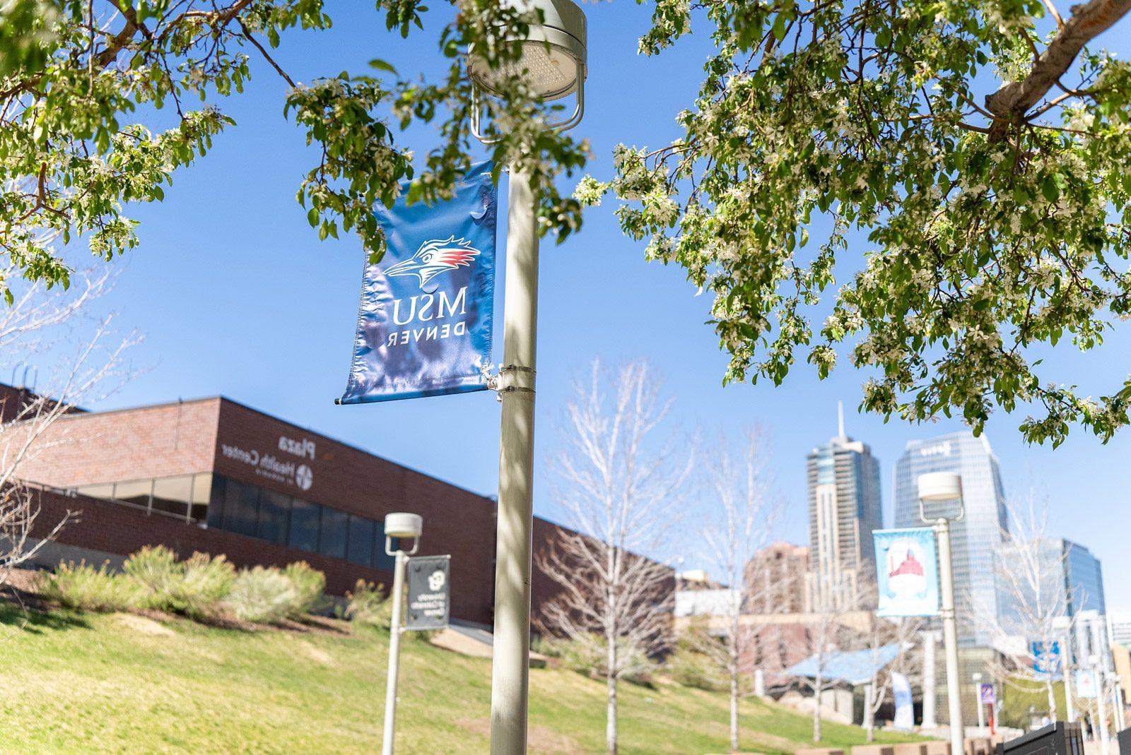 Budding trees on campus with a blue MSU Denver banner and the Plaza Building in the background